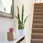 Victorian Retreat, Sleeps 8, Dog Friendly *