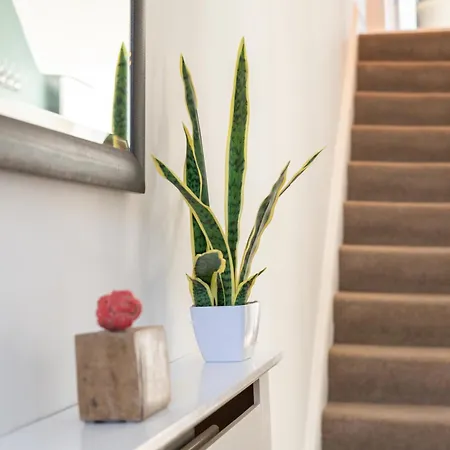 Victorian Retreat, Sleeps 8, Dog Friendly *